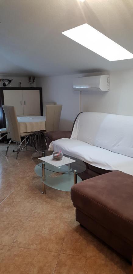 Apartmani Citrus Novigrad Filipac Luaran gambar