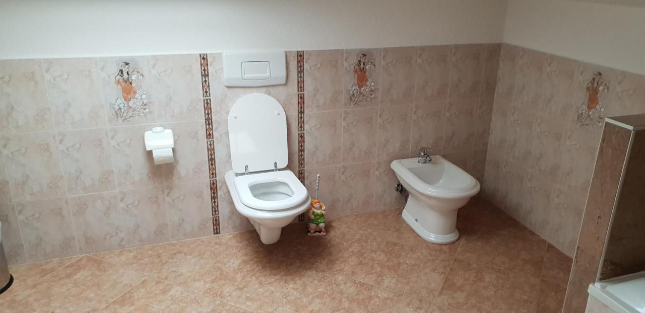 Apartmani Citrus Novigrad Filipac Luaran gambar