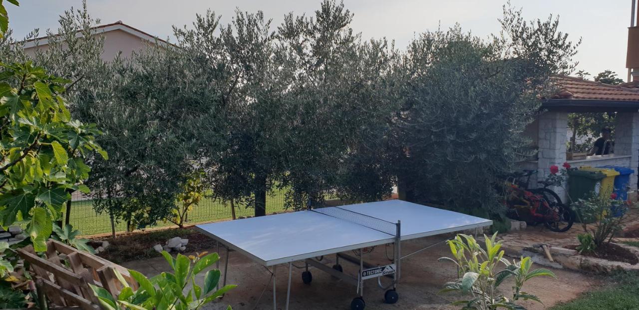 Apartmani Citrus Novigrad Filipac Luaran gambar