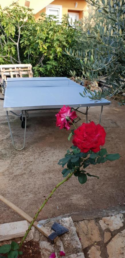 Apartmani Citrus Novigrad Filipac Luaran gambar